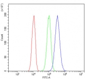 Flow cytometry testing of human PC-3 cells with ICAM1 antibody at 1ug/million cells (blocked with goat sera); Red=cells alone, Green=isotype control, Blue= ICAM1 antibody.