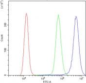 Flow cytometry testing of human A431 cells with CARS antibody at 1ug/million cells (blocked with goat sera); Red=cells alone, Green=isotype control, Blue= CARS antibody.