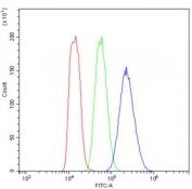 Flow cytometry testing of human MCF7 cells with Vegf receptor 2 antibody at 1ug/million cells (blocked with goat sera); Red=cells alone, Green=isotype control, Blue= Vegf receptor 2 antibody.