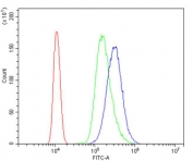 Flow cytometry testing of human U937 cells with IRAK1 antibody at 1ug/million cells (blocked with goat sera); Red=cells alone, Green=isotype control, Blue= IRAK1 antibody.