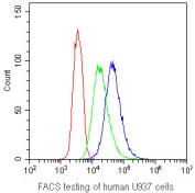 Flow cytometry testing of human U-937 cells with CD41 antibody at 1ug/10^6 cells.  CD41 antibody (blue), isotype control (green), cells alone (red).