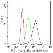 FACS testing of human HL60 cells with CD41 antibody at 1ug/10^6 cells.  CD41 antibody (blue), isotype control (green), cells alone (red).
