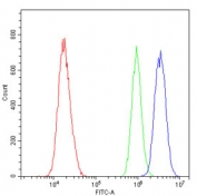 Flow cytometry testing of human A431 cells with CBX3 antibody at 1ug/million cells (blocked with goat sera); Red=cells alone, Green=isotype control, Blue= CBX3 antibody.