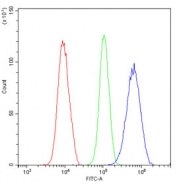 Flow cytometry testing of human U-2 OS cells with VEGF Receptor 3 antibody at 1ug/million cells (blocked with goat sera); Red=cells alone, Green=isotype control, Blue= VEGF Receptor 3 antibody.