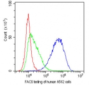 FACS testing of human K562 cells with CD81 antibody at 1ug/10^6 cells. Blue=CD81 antibody, Green=isotype control, Red=cells alone.