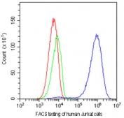 FACS testing of human Jurkat cells with CD81 antibody at 1ug/10^6 cells. Blue=CD81 antibody, Green=isotype control, Red=cells alone.