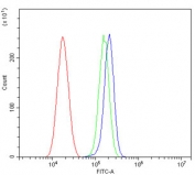 Flow cytometry testing of human U-87 MG cells with GRK2 antibody at 1ug/million cells (blocked with goat sera); Red=cells alone, Green=isotype control, Blue= GRK2 antibody.