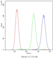 Flow cytometry testing of human U-2 OS cells with PPID antibody at 1ug/10^6 cells (blocked with goat sera); Red=cells alone, Green=isotype control, Blue=PPID antibody.