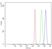 Flow cytometry testing of fixed and permeabilized human HepG2 cells with CDH5 antibody at 1ug/million cells (blocked with goat sera); Red=cells alone, Green=isotype control, Blue= CDH5 antibody.