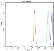 Flow cytometry testing of fixed and permeabilized human ThP-1 cells with MAX antibody at 1ug/million cells (blocked with goat sera); Red=cells alone, Green=isotype control, Blue= MAX antibody.