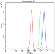 Flow cytometry testing of fixed human HEL cells with ICAM2 antibody at 1ug/million cells (blocked with goat sera); Red=cells alone, Green=isotype control, Blue= ICAM2 antibody.