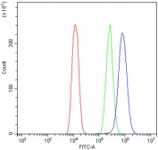 Flow cytometry testing of human U-2 OS cells with IQGAP2 antibody at 1ug/million cells (blocked with goat sera); Red=cells alone, Green=isotype control, Blue= IQGAP2 antibody.