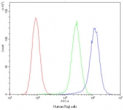 Flow cytometry testing of human Raji cells with ICOS antibody at 1ug/10^6 cells (cells blocked with goat sera); Red=cells alone, Green=isotype control, Blue=ICOS antibody.