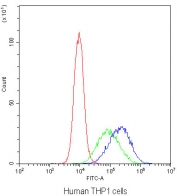 Flow cytometry testing of human THP1 cells with DC-SIGN antibody at 1ug/10^6 cells (blocked with goat sera); Red=cells alone, Green=isotype control, Blue=DC-SIGN antibody.