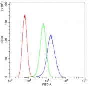 Flow cytometry testing of human U-2 OS cells with NEDD4-2 antibody at 1ug/10^6 cells (blocked with goat sera); Red=cells alone, Green=isotype control, Blue= NEDD4-2 antibody.