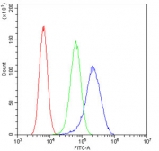 Flow cytometry testing of human U-2 OS cells with cIAP1 antibody at 1ug/10^6 cells (blocked with goat sera); Red=cells alone, Green=isotype control, Blue= cIAP1 antibody.