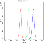 Flow cytometry testing of fixed and permeabilized human HEL cells with cIAP1 antibody at 1ug/million cells (blocked with goat sera); Red=cells alone, Green=isotype control, Blue= cIAP1 antibody.