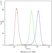 Flow cytometry testing of mouse LLC1 cells with SYT1 antibody at 1ug/10^6 cells (blocked with goat sera); Red=cells alone, Green=isotype control, Blue=SYT1 antibody.