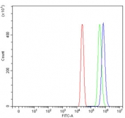 Flow cytometry testing of human HL60 cells with Serum Amyloid P antibody at 1ug/million cells (blocked with goat sera); Red=cells alone, Green=isotype control, Blue= Serum Amyloid P antibody.