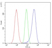 Flow cytometry testing of human A549 cells with STUB1 antibody at 1ug/million cells (blocked with goat sera); Red=cells alone, Green=isotype control, Blue= STUB1 antibody.