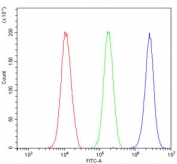 Flow cytometry testing of human 293T cells with MDC1 antibody at 1ug/million cells (blocked with goat sera); Red=cells alone, Green=isotype control, Blue= MDC1 antibody.