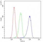 Flow cytometry testing of human A431 cells with UBA2 antibody at 1ug/10^6 cells (blocked with goat sera); Red=cells alone, Green=isotype control, Blue= UBA2 antibody.