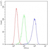 Flow cytometry testing of human A431 cells with UBA2 antibody at 1ug/10^6 cells (blocked with goat sera); Red=cells alone, Green=isotype control, Blue= UBA2 antibody.