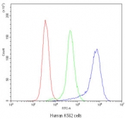 Flow cytometry testing of human K562 cells with TLR1 antibody at 1ug/10^6 cells (blocked with goat sera); Red=cells alone, Green=isotype control, Blue=TLR1 antibody.