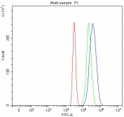 Flow cytometry testing of fixed and permeabilized human HepG2 cells with M6PR antibody at 1ug/million cells (blocked with goat sera); Red=cells alone, Green=isotype control, Blue= M6PR antibody.