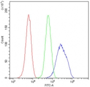 Flow cytometry testing of human U-2 OS cells with WWOX antibody at 1ug/10^6 cells (blocked with goat sera); Red=cells alone, Green=isotype control, Blue= WWOX antibody.