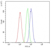 Flow cytometry testing of human A549 cells with USP7 antibody at 1ug/10^6 cells (blocked with goat sera); Red=cells alone, Green=isotype control, Blue= USP7 antibody.