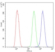 Flow cytometry testing of human U-2 OS cells with RALBP1 antibody at 1ug/million cells (blocked with goat sera); Red=cells alone, Green=isotype control, Blue= RALBP1 antibody.