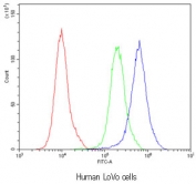 Flow cytometry testing of human LoVo cells with Bestrophin 1 antibody at 1ug/10^6 cells (blocked with goat sera); Red=cells alone, Green=isotype control, Blue=Bestrophin 1 antibody.