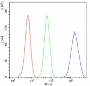 Flow cytometry testing of human U-2 OS cells with ESRRG antibody at 1ug/10^6 cells (blocked with goat sera); Red=cells alone, Green=isotype control, Blue= ESRRG antibody.