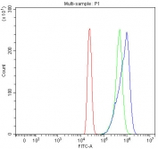 Flow cytometry testing of fixed and permeabilized human HL60 cells with Glutathione Reductase antibody at 1ug/10^6 cells (blocked with goat sera); Red=cells alone, Green=isotype control, Blue=Glutathione Reductase antibody.