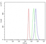 Flow cytometry testing of human SH-SY5Y cells with Neurexin 1 antibody at 1ug/10^6 cells (blocked with goat sera); Red=cells alone, Green=isotype control, Blue=Neurexin 1 antibody.