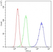 Flow cytometry testing of human A431 cells with PARN antibody at 1ug/10^6 cells (blocked with goat sera); Red=cells alone, Green=isotype control, Blue= PARN antibody.