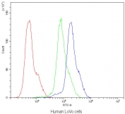 Flow cytometry testing of human LoVo cells with CCKBR antibody at 1ug/10^6 cells (blocked with goat sera); Red=cells alone, Green=isotype control, Blue=CCKBR antibody.