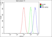 Flow cytometry testing of fixed and permeabilized human HepG2 cells with Carboxylesterase 1 antibody at 1ug/million cells (blocked with goat sera); Red=cells alone, Green=isotype control, Blue= Carboxylesterase 1 antibody.