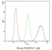 Flow cytometry testing of mouse RAW264.7 cells with CCR3 antibody at 1ug/10^6 cells (blocked with goat sera); Red=cells alone, Green=isotype control, Blue=CCR3 antibody.