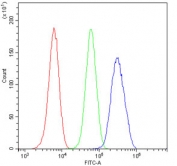 Flow cytometry testing of fixed and permeabilized human U-2 OS cells with RUNX1T1 antibody at 1ug/million cells (blocked with goat sera); Red=cells alone, Green=isotype control, Blue= RUNX1T1 antibody.