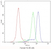Flow cytometry testing of human HL-60 cells with CD11b antibody at 1ug/10^6 cells (blocked with goat sera); Red=cells alone, Green=isotype control, Blue=CD11b antibody.