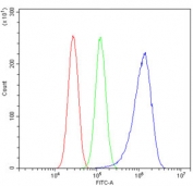 Flow cytometry testing of human U-87 MG cells with VAPB antibody at 1ug/million cells (blocked with goat sera); Red=cells alone, Green=isotype control, Blue= VAPB antibody.