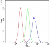 Flow cytometry testing of human HepG2 cells with RKIP antibody at 1ug/million cells (blocked with goat sera); Red=cells alone, Green=isotype control, Blue= RKIP antibody.