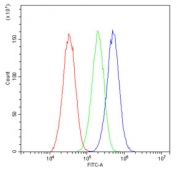 Flow cytometry testing of human HepG2 cells with TCP1 eta antibody at 1ug/10^6 cells (blocked with goat sera); Red=cells alone, Green=isotype control, Blue= TCP1 eta antibody.