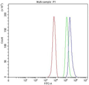 Flow cytometry testing of fixed and permeabilized human HepG2 cells with HLF antibody at 1ug/million cells (blocked with goat sera); Red=cells alone, Green=isotype control, Blue= HLF antibody.