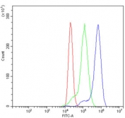 Flow cytometry testing of human ThP-1 cells with PLCG2 antibody at 1ug/million cells (blocked with goat sera); Red=cells alone, Green=isotype control, Blue= PLCG2 antibody.