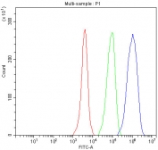 Flow cytometry testing of fixed and permeabilized human HeLa cells with p65 antibody at 1ug/million cells (blocked with goat sera); Red=cells alone, Green=isotype control, Blue= p65 antibody.