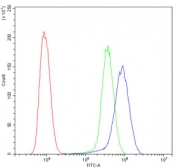 Flow cytometry testing of human HeLa cells with GSTM1 antibody at 1ug/10^6 cells (blocked with goat sera); Red=cells alone, Green=isotype control, Blue= GSTM1 antibody.