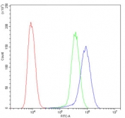 Flow cytometry testing of human U-2 OS cells with GSTM1 antibody at 1ug/10^6 cells (blocked with goat sera); Red=cells alone, Green=isotype control, Blue= GSTM1 antibody.